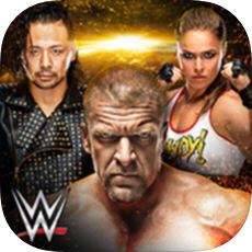WWE(WWE Universe)