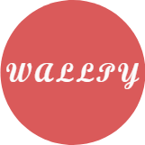 WALLPY(4kֽ)