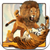 wild tiger