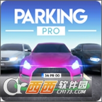 ͣר(Parking Pro)