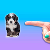 �����ҵĹ�(Dont Touch My Dog)