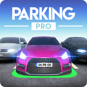 Parking Pro(ͣר)