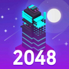 ��ҹ�����2048