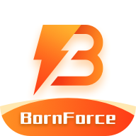 BornForce(@)v1.1