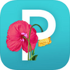Picolla(������������)ͼ��