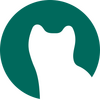 �ڴ�����