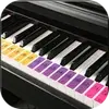 ��ʵ����2019С�װ�
