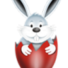 �����̱����ַ(�������� �̱���ʾ)�ڲ�ר�ð汾