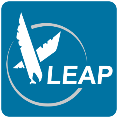 Leap Timer