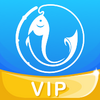 �ŵ�VIPͼ��