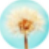 ���ײ����鿴��