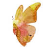 ��Ƭת�ֻ湤��Cartoonize Painter