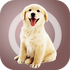 �����˹�������app1.2.1