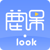 ¹��Lookͼ��