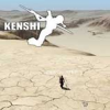 ��ʿkenshi��ʽ��๦���޸���