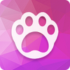 ����è����app