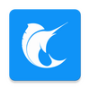 ���㺣��app