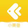 С����app