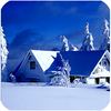 ����ʶ����app