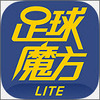 ����ħ��lite��