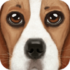 UltDogSim(ģ�⹷��Ultimate Dog Simulator���İ�)ͼ��