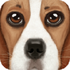 UltDogSim(ģ�⹷��Ultimate Dog Simulator���İ�)v1.2��׿��