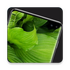 Punch Hole Wallpapers(��ױ�ֽ)v1.0 ��׿��