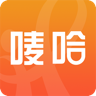 ����̳�app�ٷ���