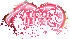 �λ����������v1.0.5.2 2026�ٷ����İ�