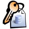 ElcomSoft Advanced SQL Password Recovery
