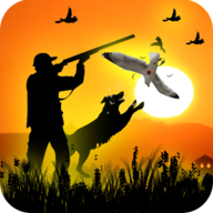 New Birds Hunting Game 3D(FPS)