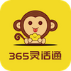 365���ͨ