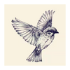 ��ȸ(���׬Ǯ)app