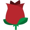 �ڼѻ���iOS��