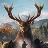 ����Ұ�Եĺ���������+DLC+��DVD����
