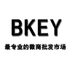 BKEY�ٿ�΢�������г�1.0