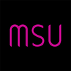 ����ɳ��MSU SALONͼ��