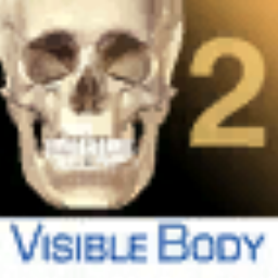 Visible Body Skeleton Premium 2M