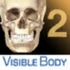 Visible Body Skeleton Premium 2�����������Ѱ�V4.0.0.62010����ר��