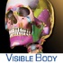 Skeleton Premium iPhone/iPad��V2.4.12����iOS��