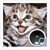 ���������APPͼ��