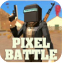 Pixel Battle Royale(ػʼս)