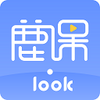 ¹��Look���԰�