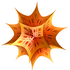 ��ѧ��������Wolfram Mathematicav12.0.0.0 �ٷ���