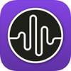 Dark Noise