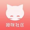 ��������app