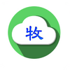 �������������app
