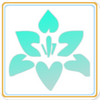 ҽ������app