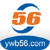 56�������app