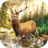 ���Գ�ͻHunting Clashv5.33.1a ��׿��